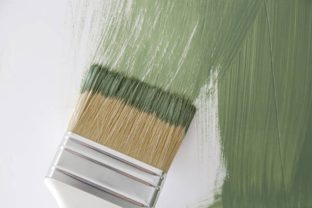 Best Mold Remediation for Healthcare Facilities  in Park City, KS