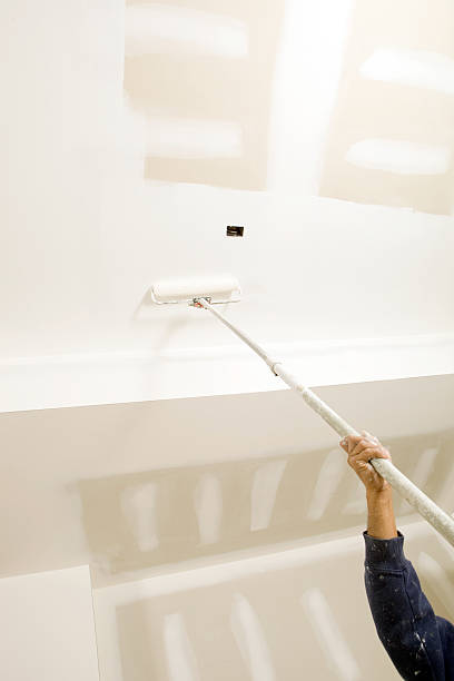 Best Post-Construction Mold Inspection  in Park City, KS